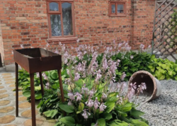 Продається будинок + бізнес в с. Старий Солотвин фото 15 Продається будинок + бізнес в с. Старий Солотвин фото 15