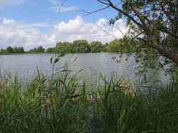 Продається добротний будинок в Черняхові. фото 19 Продається добротний будинок в Черняхові. фото 19