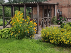 Продається будинок + бізнес в с. Старий Солотвин фото 10 Продається будинок + бізнес в с. Старий Солотвин фото 10