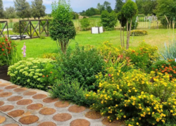 Продається будинок + бізнес в с. Старий Солотвин фото 9 Продається будинок + бізнес в с. Старий Солотвин фото 9