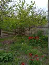 Продаж будинку на Крошні (за переїздом) фото 3 Продаж будинку на Крошні (за переїздом) фото 3