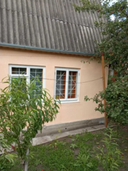  ,  (3   . )  2
