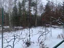 Продам дачу у Житомирі, Соколовський масив. фото 6 Продам дачу у Житомирі, Соколовський масив. фото 6