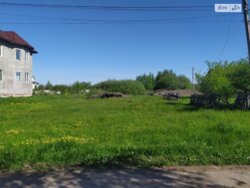 Будинок вул. Панаса Мирного фото 5 Будинок вул. Панаса Мирного фото 5