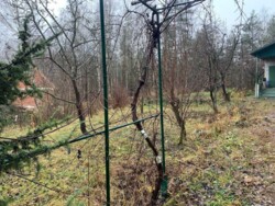 Продам дачу у Житомирі, Соколовський масив. фото 9 Продам дачу у Житомирі, Соколовський масив. фото 9