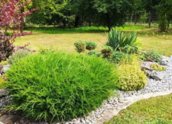 Продається будинок + бізнес в с. Старий Солотвин фото 12 Продається будинок + бізнес в с. Старий Солотвин фото 12