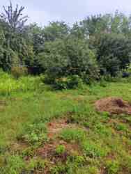 Продам будинок провулок Метеорологічний . фото 6 Продам будинок провулок Метеорологічний . фото 6