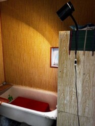 �������� ������� � ������ ������� �� ������������� ����� ���� 13