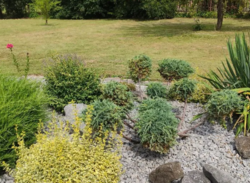 Продається будинок + бізнес в с. Старий Солотвин фото 13 Продається будинок + бізнес в с. Старий Солотвин фото 13