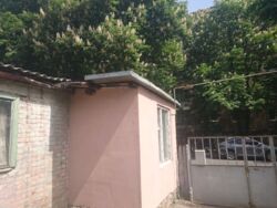 ��������� ��� ������������, ������������ (����������), ��������������, 5/5 ���� 3