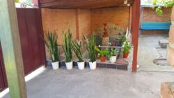 ��������� ��� ������������ (����������), ��������������, ������������� ���� 4