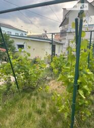 ��������� ��� ������������ (����������), ��������������, ��������� ���� 5