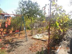 ��������� ��� ������������ (����������), ��������������, ��������� ���� 2