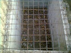 ��������� ��� ������������ (����������), ��������������, ������� ����� ���� 12