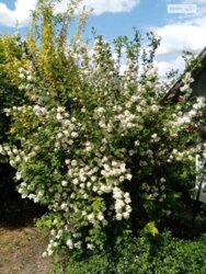 ��������� ��� ������������ (����������), �������������� ���� 5