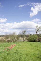 ��������� ��� ������������ (����������), ��������������, ������ ��������� ���� 6