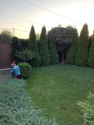 ��������� ��� ������������ (����������), ��������������, ���������� ���� 3