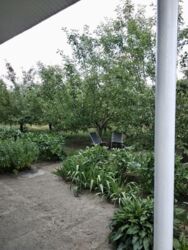 ��������� ��� ������������ (����������), �������������� ���� 4