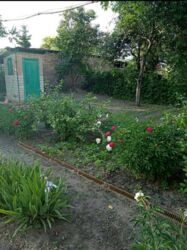 ��������� ��� ������������ (����������), ��������������, �������������� ���� 9