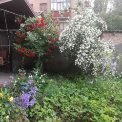 ��������� ��� ������������ (����������), ��������������, ����� ���� 1