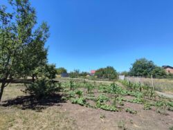 ��������� ��� ������������ (����������), ��������������, ��������� ���� 6