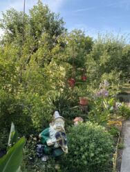 ��������� ��� ������������ (����������), ��������������, ���������� ���� 4