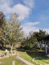 ��������� ��� ������������ (����������), ��������������, �������� ���� 8