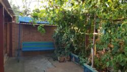 ��������� ��� ������������ (����������), ��������������, ������������� ���� 5