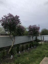 ��������� ��� ������������ (����������), ��������������, �������� ���� 4