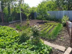 ��������� ��� ������������ (����������), �������������� ���� 10