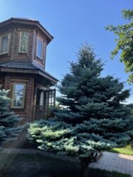 ��������� ��� ������������ (����������), �������������� ���� 3