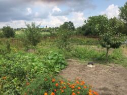 ��������� ��� ������������ (����������), ��������������, ������ ��������� ���� 4