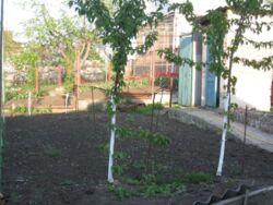 ��������� ��� ������������ (����������), ��������������, ������ ����� ���� 4