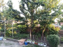 ��������� ��� ���������� ���., ������������ (����������), ��������������, ����� ���� 10