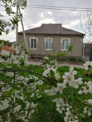 ��������� ��� ������������ (����������), ��������������, �������� ���� 1