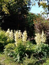 ��������� ��� ������������ (����������), �������������� ���� 4