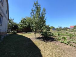 ��������� ��� ������������ (����������), ��������������, ��������� ���� 5