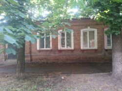 ��������� ��� ������������, ������������ (����������), ��������������, 5/5 ���� 7