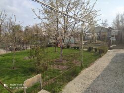 ��������� ��� ������������ (����������), �������������� ���� 11