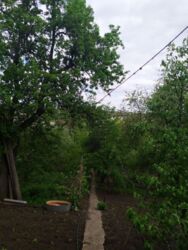 ��������� ��� ������ �������, 17, ������������ (����������), �������������� ���� 5