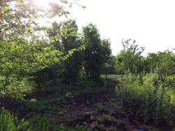 ��������� ��� ������������ (����������), ��������������, ��������� ���� 2