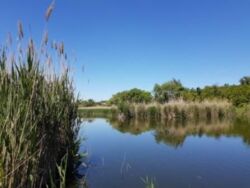 ��������� ��� ������������ (����������), ��������������, ���������� ���� 10