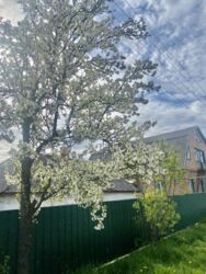 ��������� ��� ������������ (����������), �������������� ���� 6