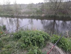 ��������� ��� ������������ (����������), ��������������, ��������� ���� 8