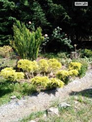 ��������� ��� ������������ (����������), �������������� ���� 2