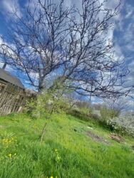 ��������� ��� ������������ (����������), �������������� ���� 4