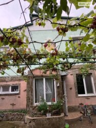 ��������� ��� ������������ (����������), �������������� ���� 1