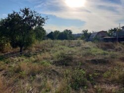 ��������� ��� ������������ (����������), ��������������, ������� ����� ���� 11