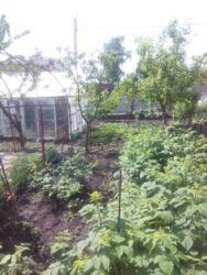 ��������� ��� ������������ (����������), ��������������, �������� ���� 4