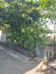 ��������� ��� ������������ (����������), ��������������, ������� ����� ���� 12